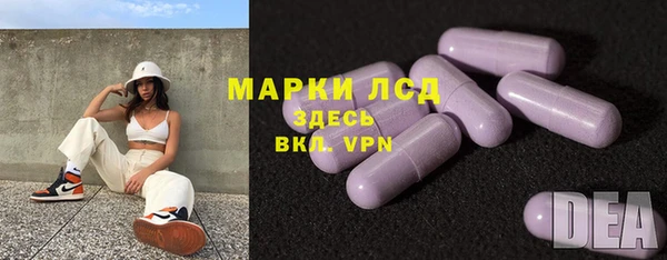 ГАЛЛЮЦИНОГЕННЫЕ ГРИБЫ Фёдоровский