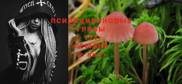 меф Абинск