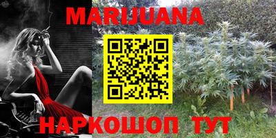 индика Братск