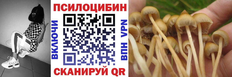 Псилоцибиновые грибы Cubensis Алапаевск