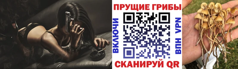 МЕГА сайт  Алапаевск  Псилоцибиновые грибы прущие грибы  что такое  