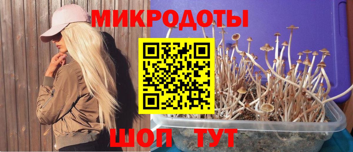 сколько стоит  Вход с VPN  Алапаевск  Галлюциногенные грибы мухоморы 