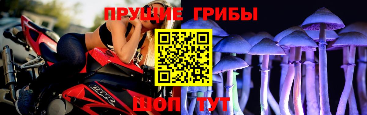 Псилоцибиновые грибы Cubensis Алапаевск
